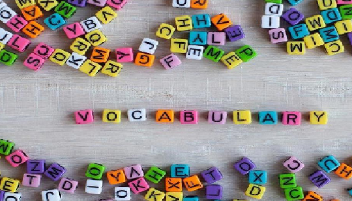 03 Vocabulary Development