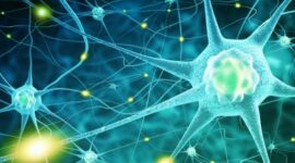 21 biological science