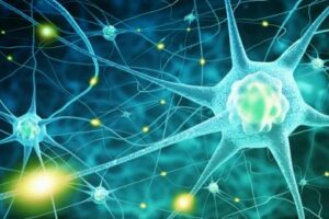 21 biological science