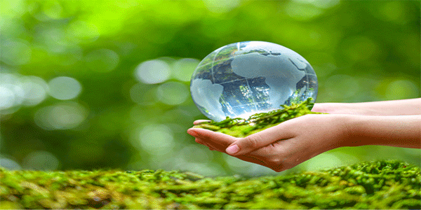 Conservation-of-Nature