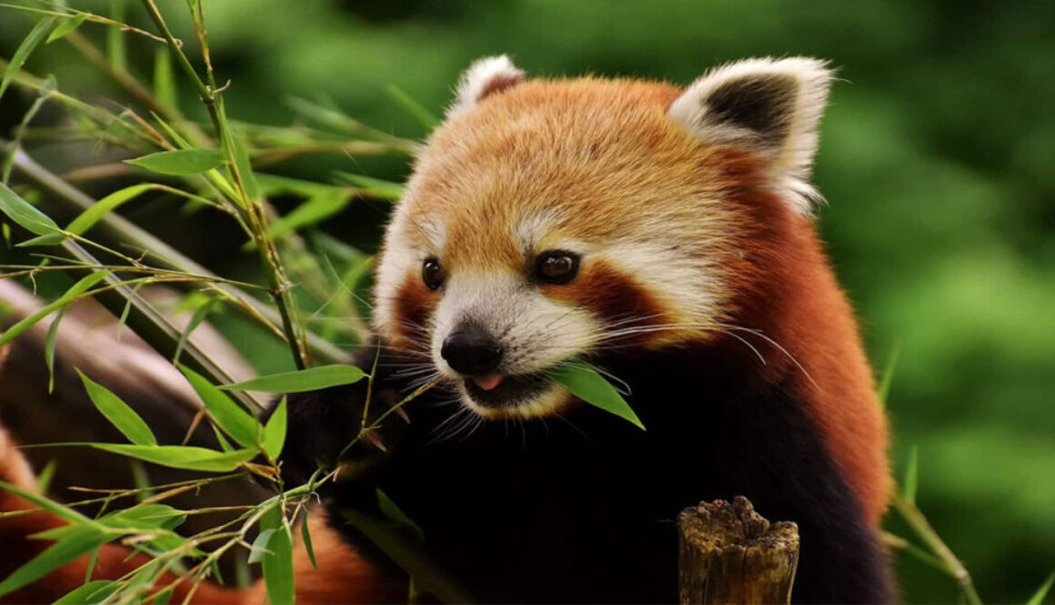 01-Featured-Image-1200x628